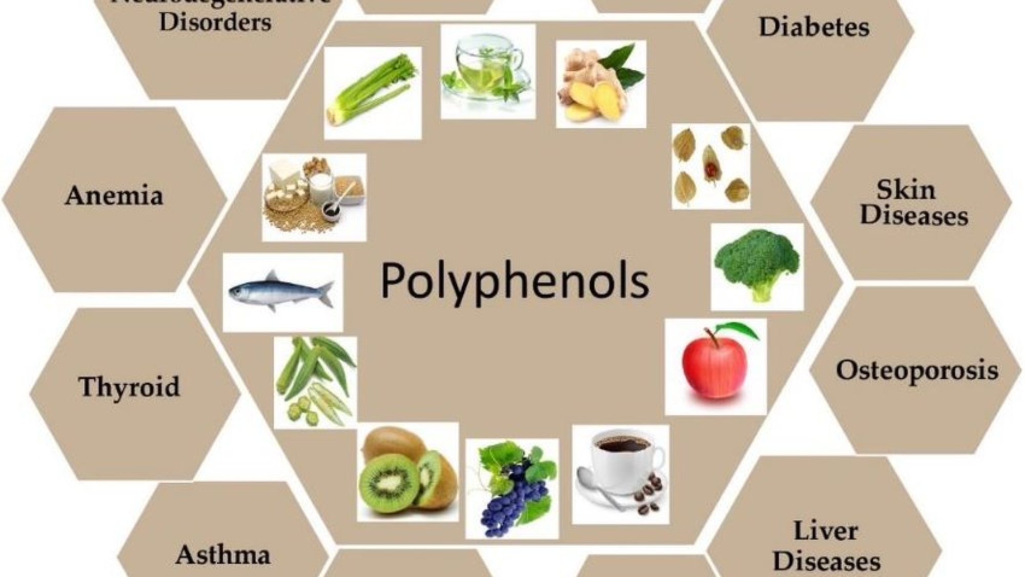 Health-benefits-effect-of-dietary-polyphenols-Polyphenols-are-largely-found-in-fruits