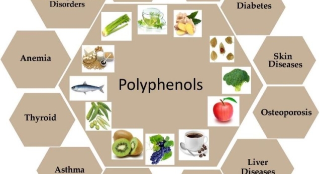 Health-benefits-effect-of-dietary-polyphenols-Polyphenols-are-largely-found-in-fruits